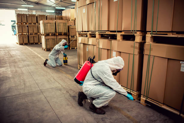 Best Pest Inspection Near Me  in Summerside, OH