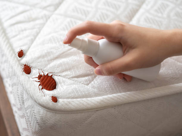 Best Affordable Pest Control Services  in Summerside, OH