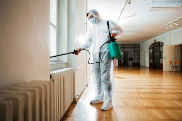 Best Exterminator Services  in Summerside, OH