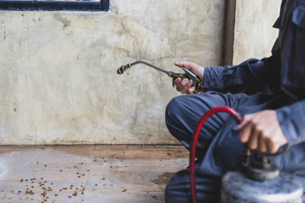 Best Pest Removal Services  in Summerside, OH